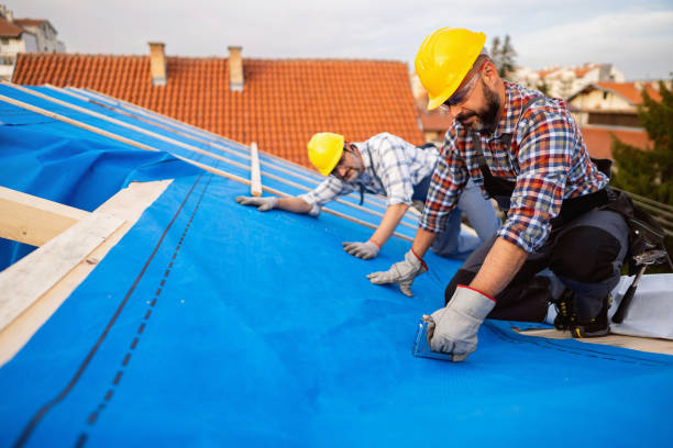 Best Local Roofing Companies  in New Eagle, PA