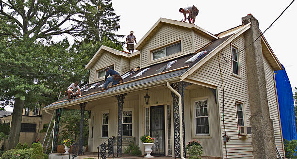 Best Roof Maintenance Services  in New Eagle, PA