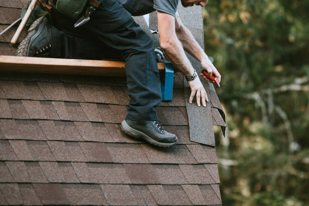 Professional Roofing Contractor in New Eagle, PA
